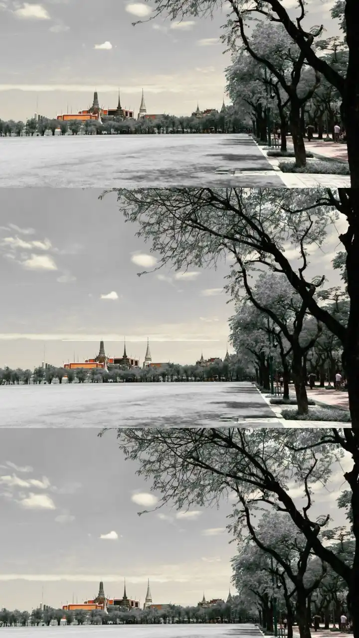 ปฐมพยาบาลเบื้องต้น