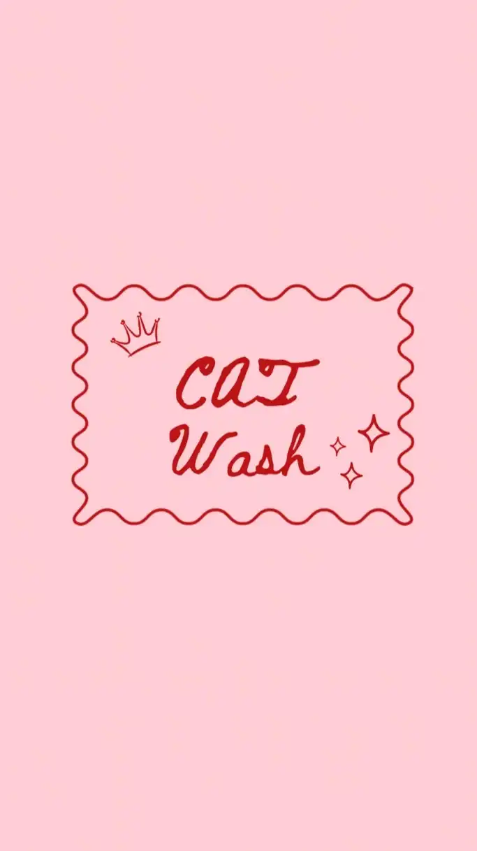 CaT WaSh