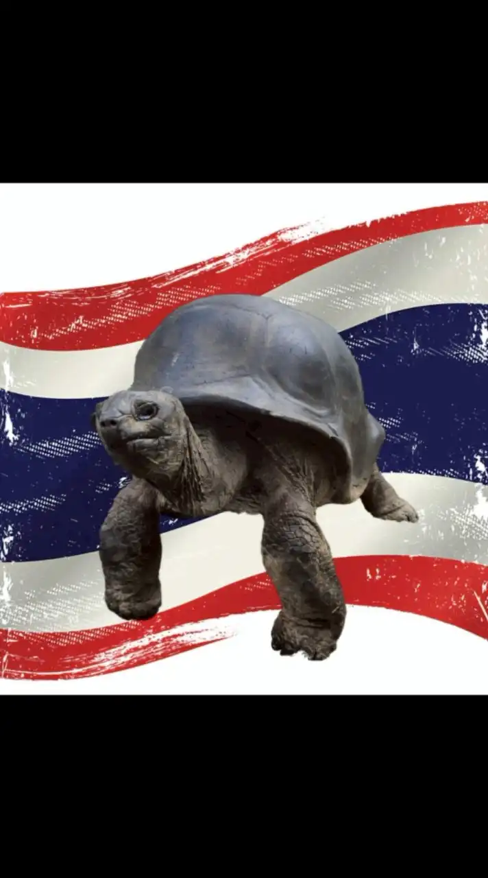 Aldabra Phurpor 🐢🇹🇭🐢🇹🇭🐢