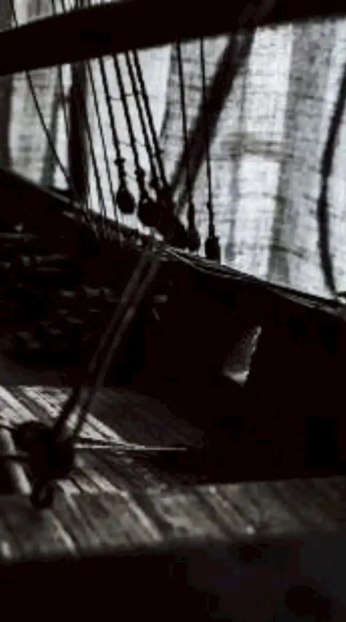 🏴‍☠️Forsaken Pirate | rp