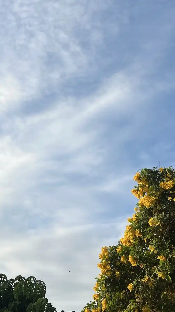 ร่วมพัฒนาเมืองเขตราชเทวี