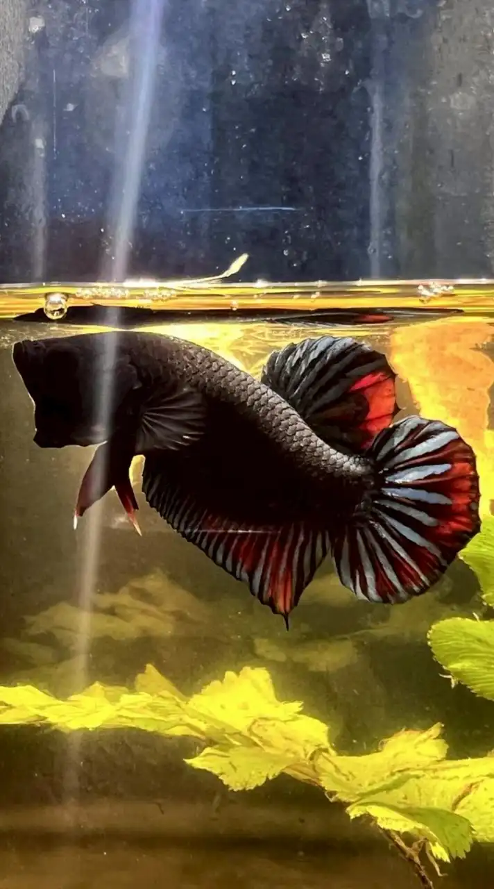 บาดาลสะเทือน