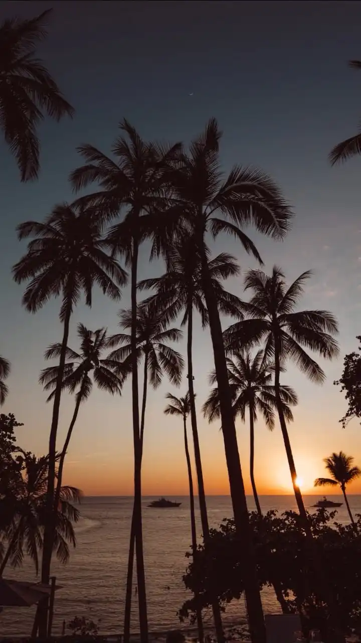 A M A N P U R I • J O B 🌴