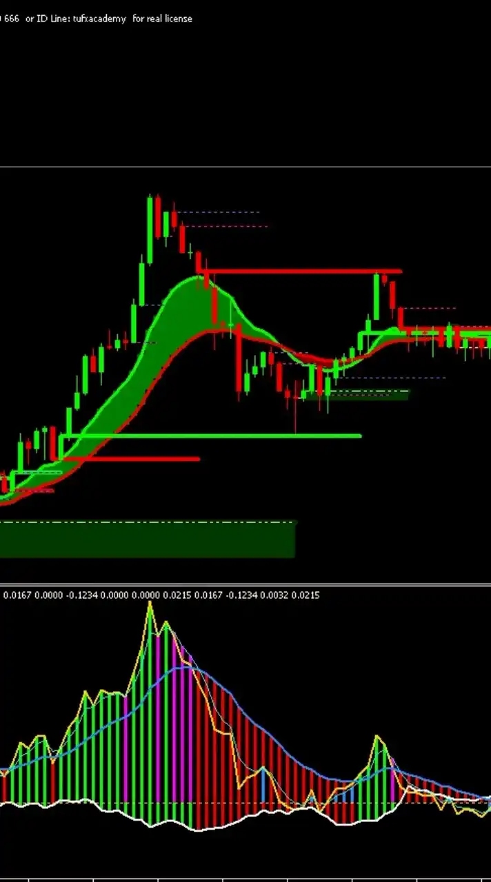 คนจรสอนเทรด_เทรดเดอร์101
