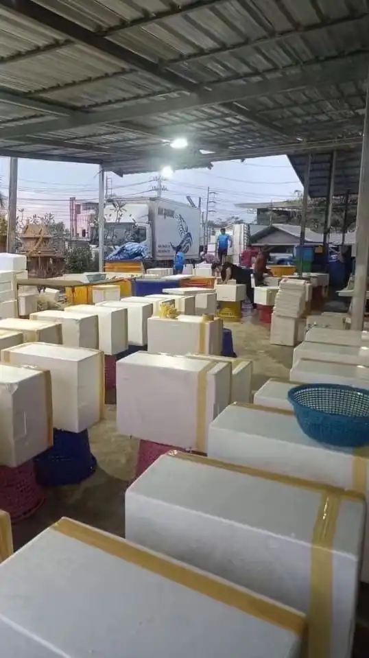 🦞🦐กลุ่มอัพเดทราคากุ้ง🦐🦞