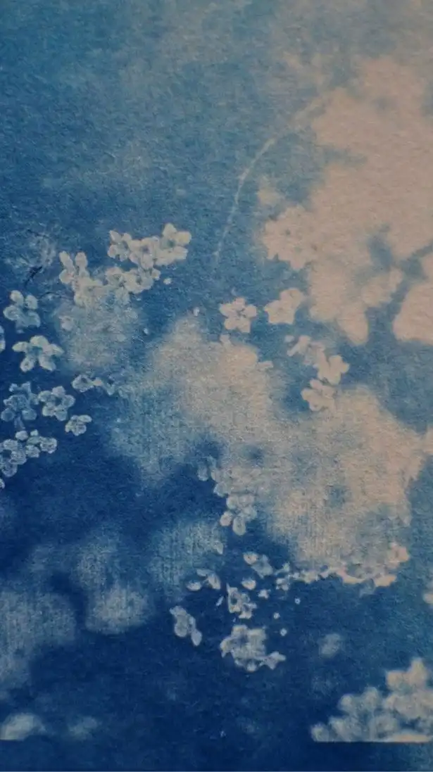 Blulagoon Store 🌀