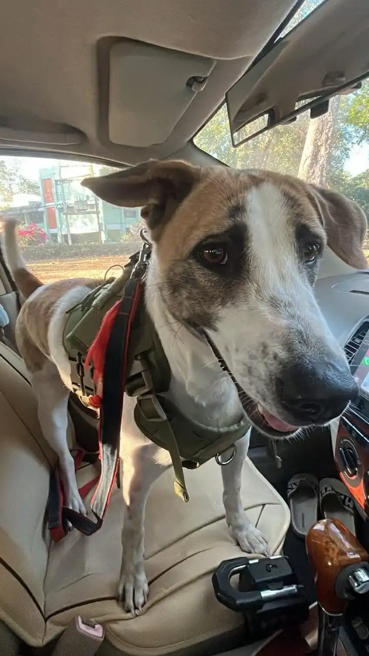 ถาม-ตอบ รวมVETMSU