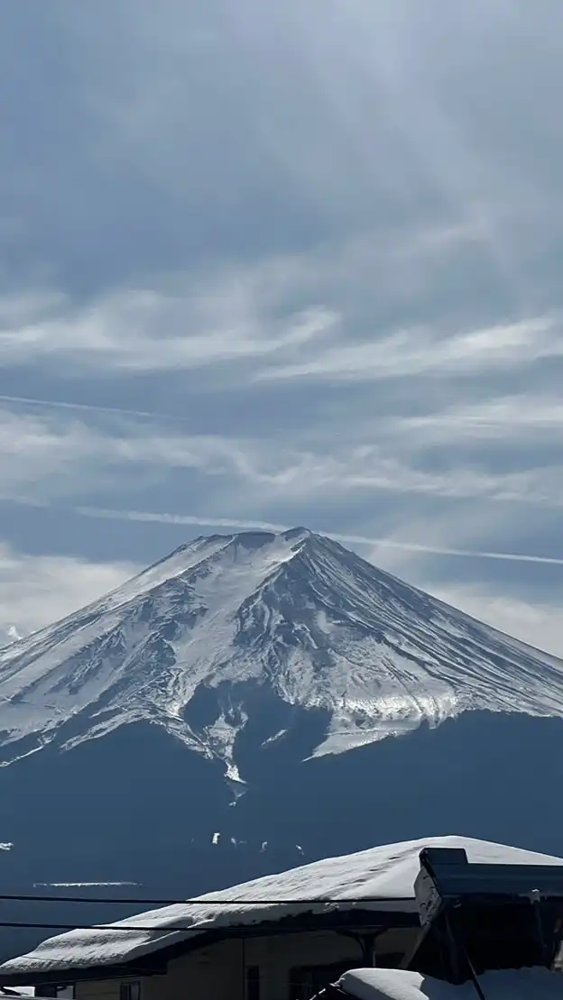 พร้อมขาย OF JAPAN