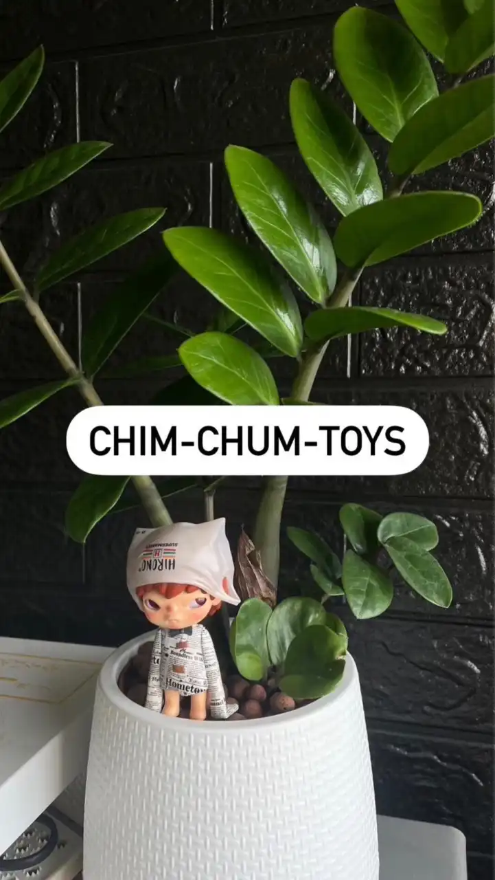 chimchumtoys