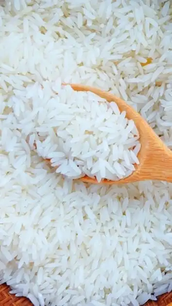 ซื้อ-ขาย ข้าวสาร ข้าวหอมมะลิ ข้าวกล้อง ไรซ์เบอร์รี่