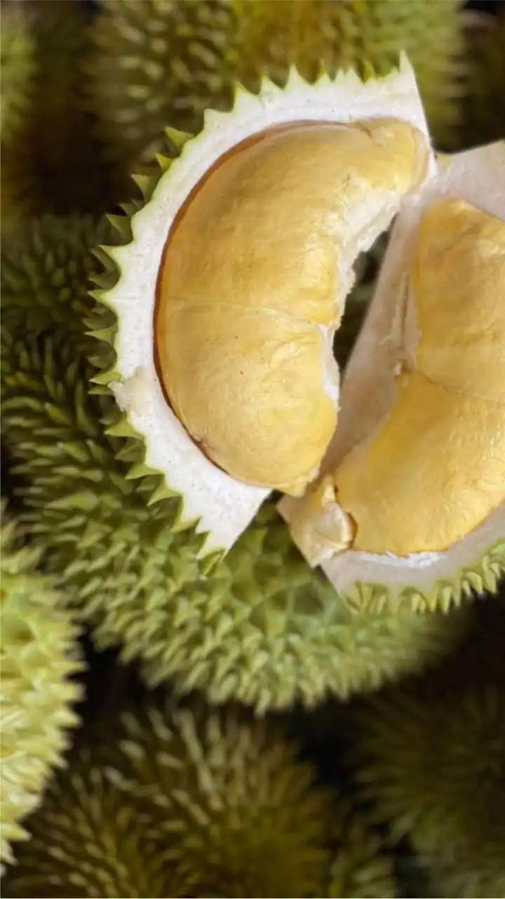 ทุเรียนเนื้อ 1