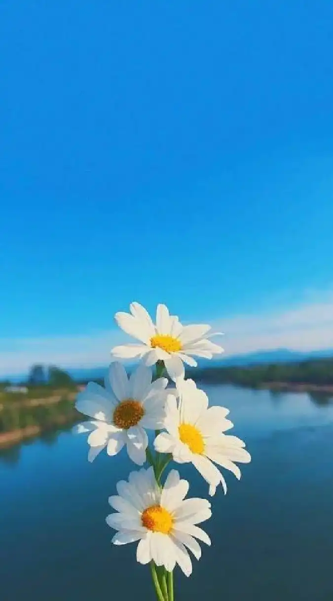 ครัวคุณต๋อย ณ ตะวันแดง