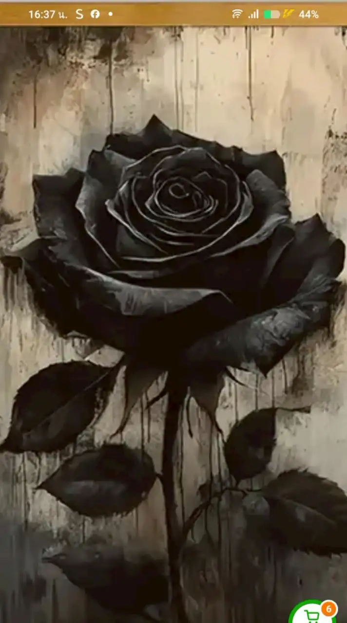 ร้านle'car  bakery