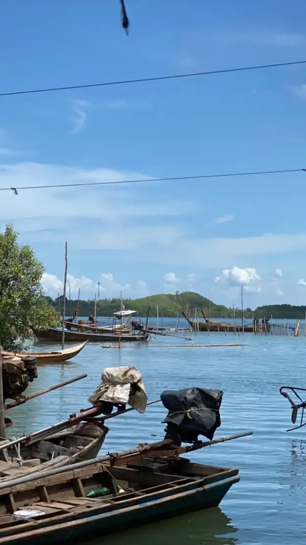อาหารทะเล สดๆ