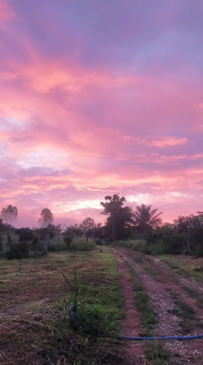 ไดแอคซ่าพิชิตน้ำตาล (หมอบุญชิต)