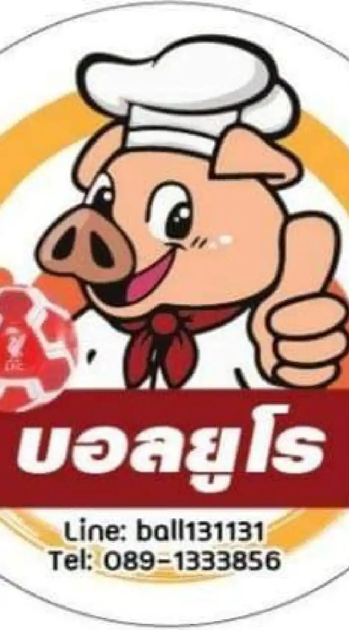 หมูยูโร อาหารแช่แข็ง,แปรรูปทุกชนิด(8)