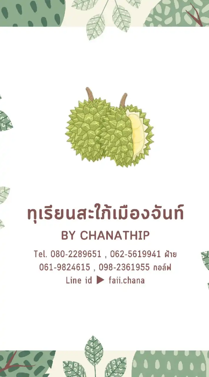 ทุเรียนสะใภ้เมืองจันท์ by Chanathip