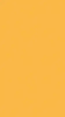 แสตนด์สีเหลือง2567