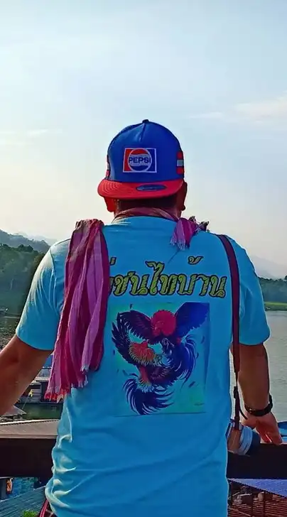 ไก่ชนไทบ้าน