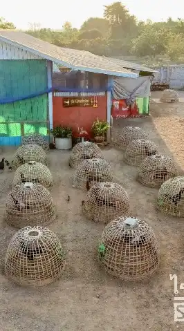 ช.โชคทวีทรัพย์ สุโขทัย