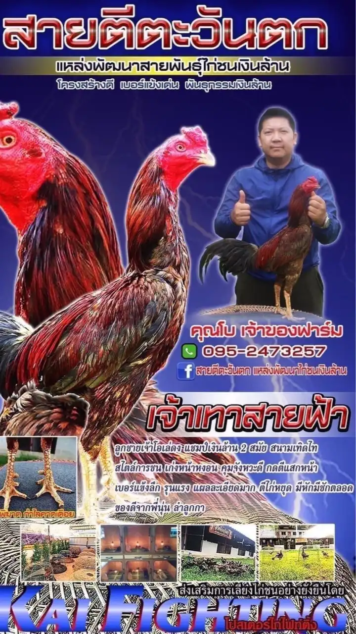 สายตีตะวันตก ฟาร์ม