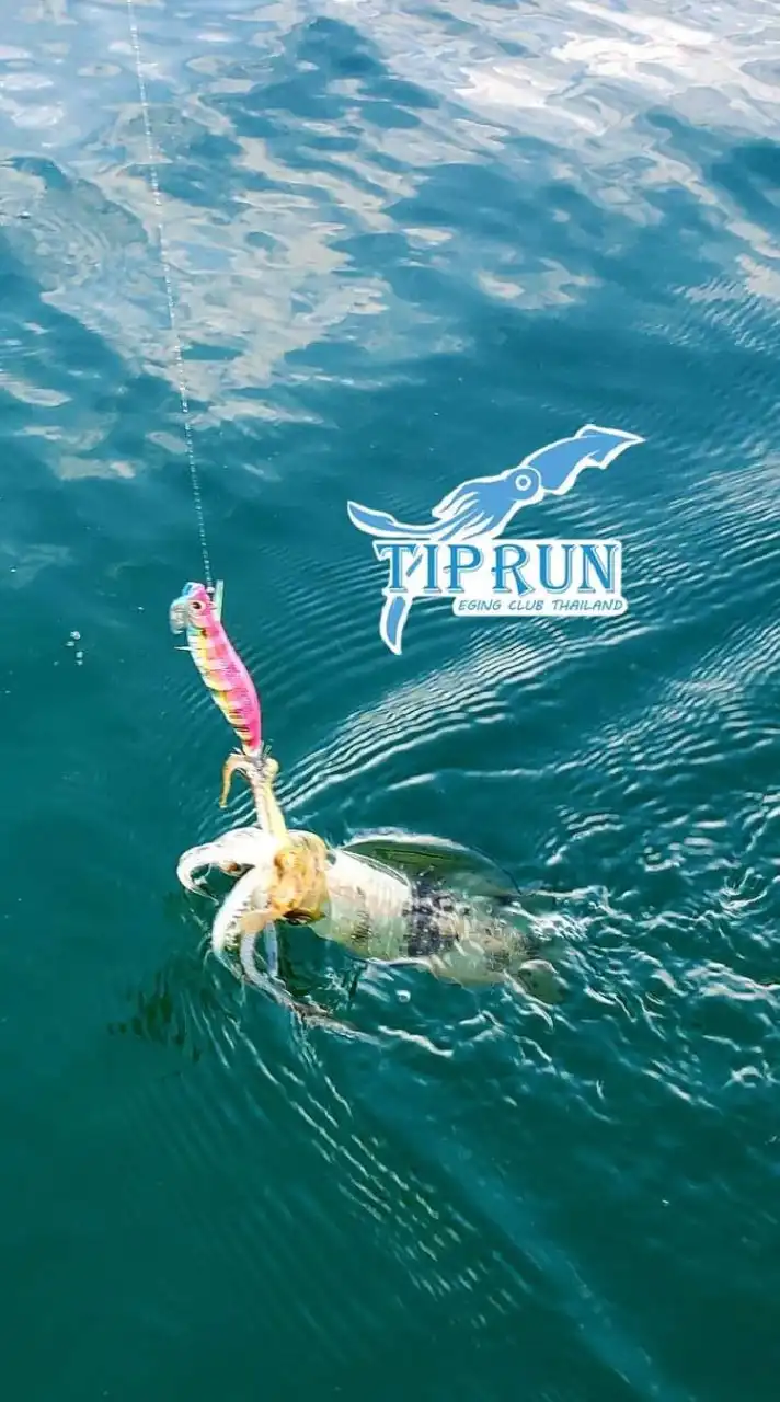 ซื้อ-ขาย จัดทริปตกหมึก Tip Run Eging Club Thailand