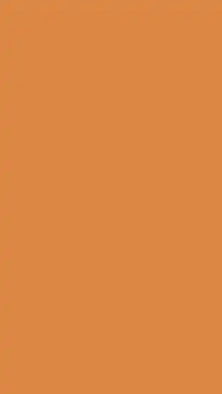 Orange 🧡