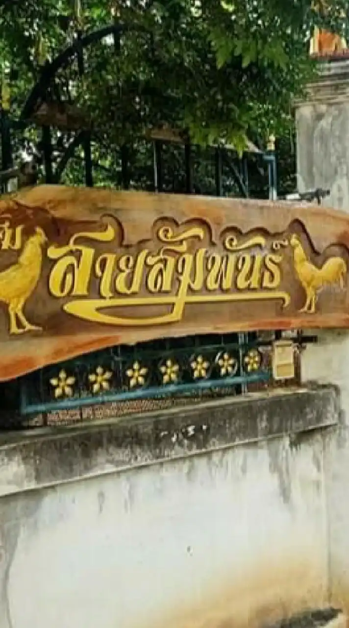 ซุ้มไก่สายสัมพันธ์ชัยนาท