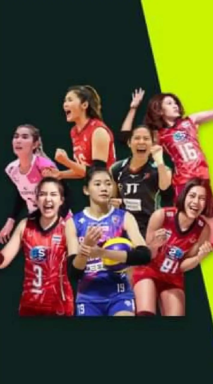 วอลเลย์บอล ทีวี