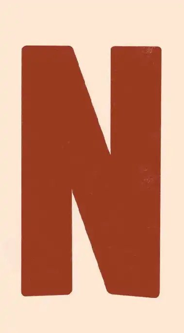 NETFLIX'S room