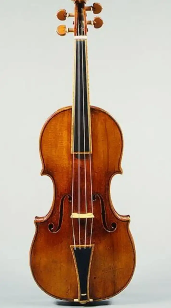 VIOLIN​ THAILAND