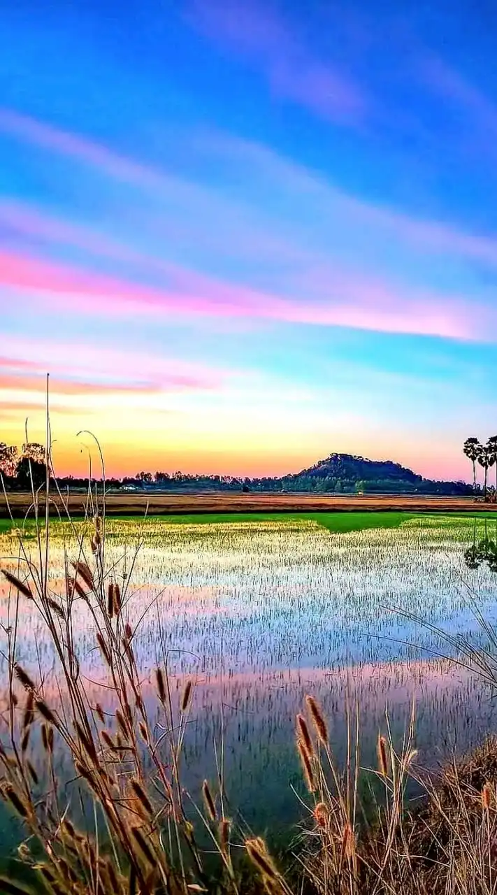 🧿🧿ห้อง"ชุมทางบันเทิง"หนัง,เพลง,ข่าวสาร,คลิป,ตลก,ชีวิตสัตว์ฯ🧿🧿