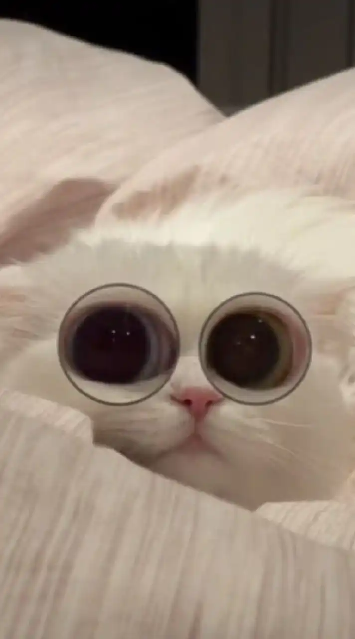 𝘾𝙤𝙙𝙚𝘼𝙢 𝙗𝙮 𝙣𝙭𝙚𝙮𝙣𝙖²