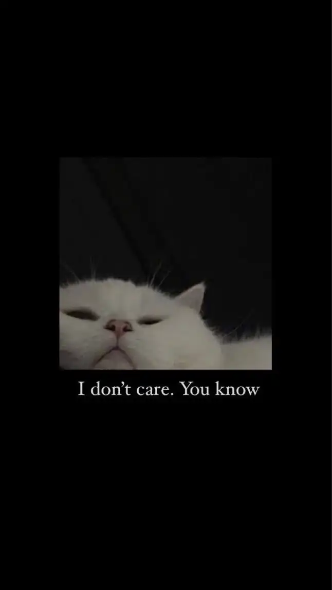 call me by your song