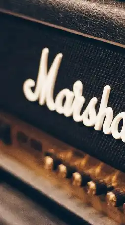 "นักขาย"Marshall Speaker
