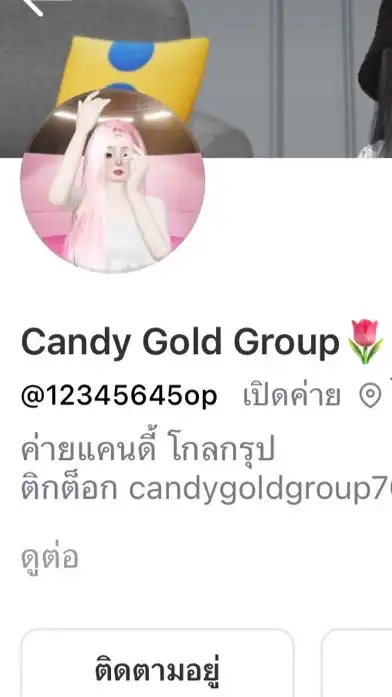 ค่าย Candy Gold Group🌷