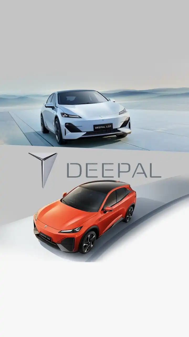 Deepal user