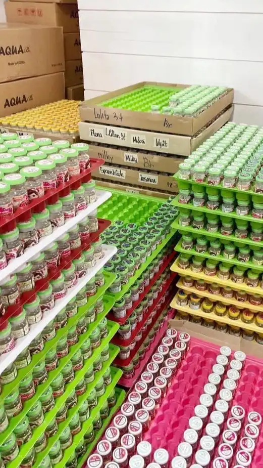 คอนแทคเลนส์60บาท