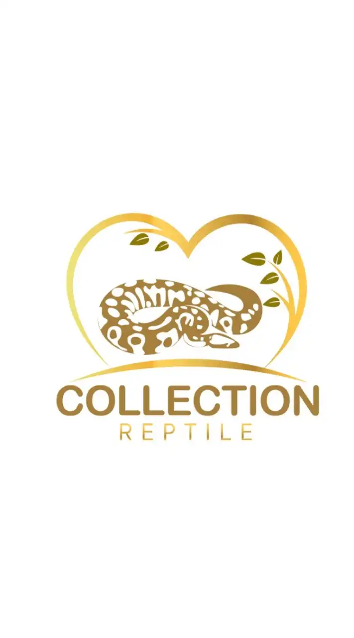 collection reptile