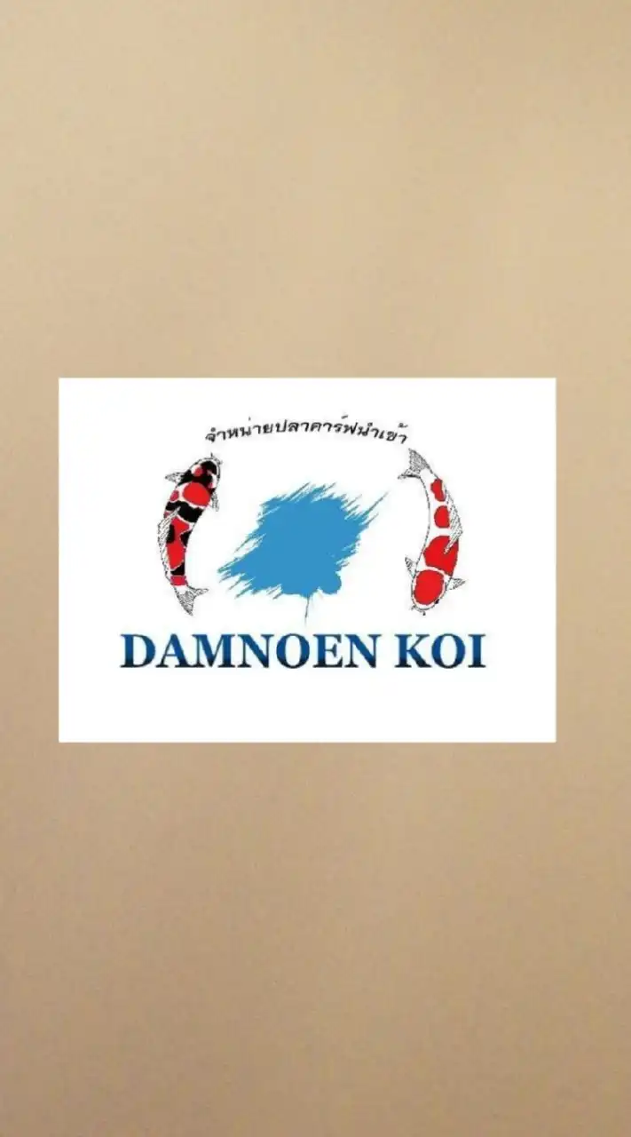 Damnoen KOI ห้องสำรอง