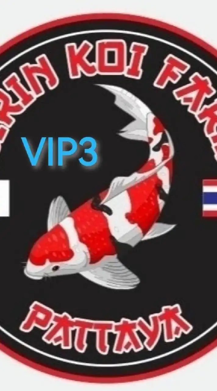 SIRIN​ KOI​ FARM​ VIP​3🇯🇵