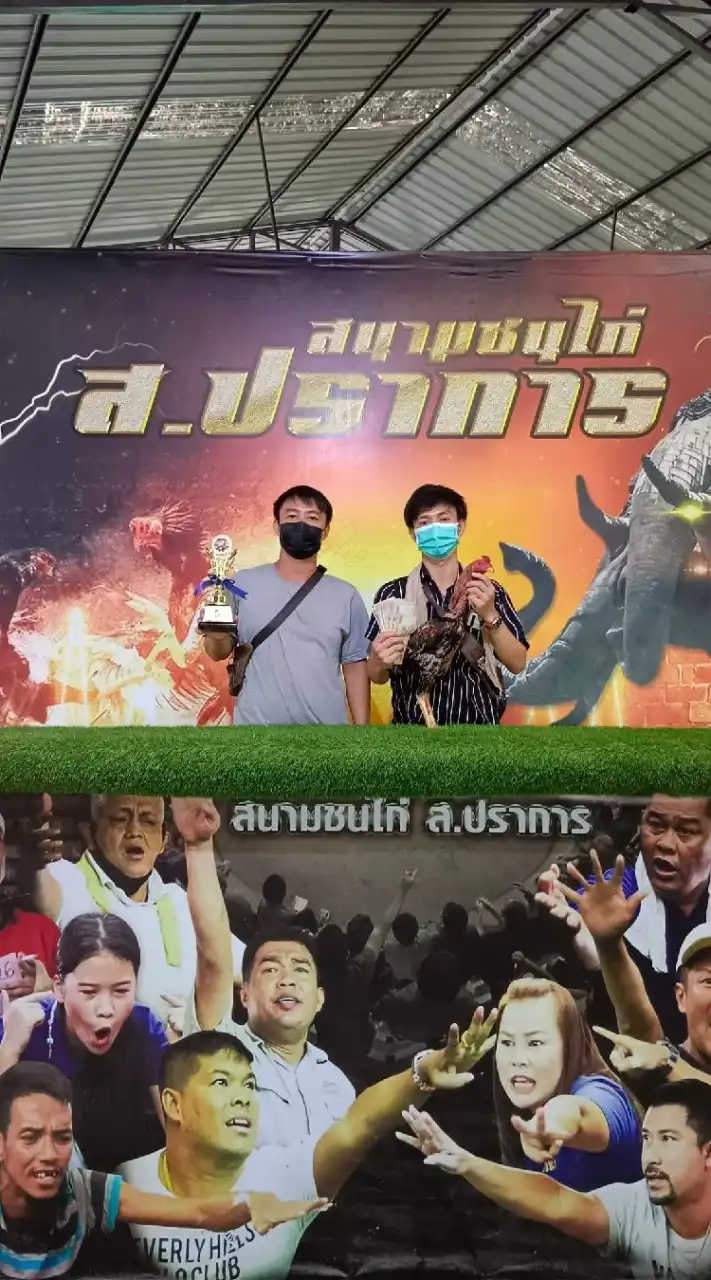ซุ้มหนุ่มเมืองปัว