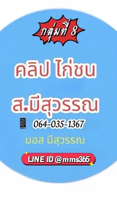 🏆กลุ่ม 8 คลิปไก่ ส.มีสุวรรณ (VIP ลูกแชมป์ตัวดัง)🏆