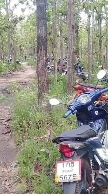 สนามกีฬาไก่ชนเทิดไท