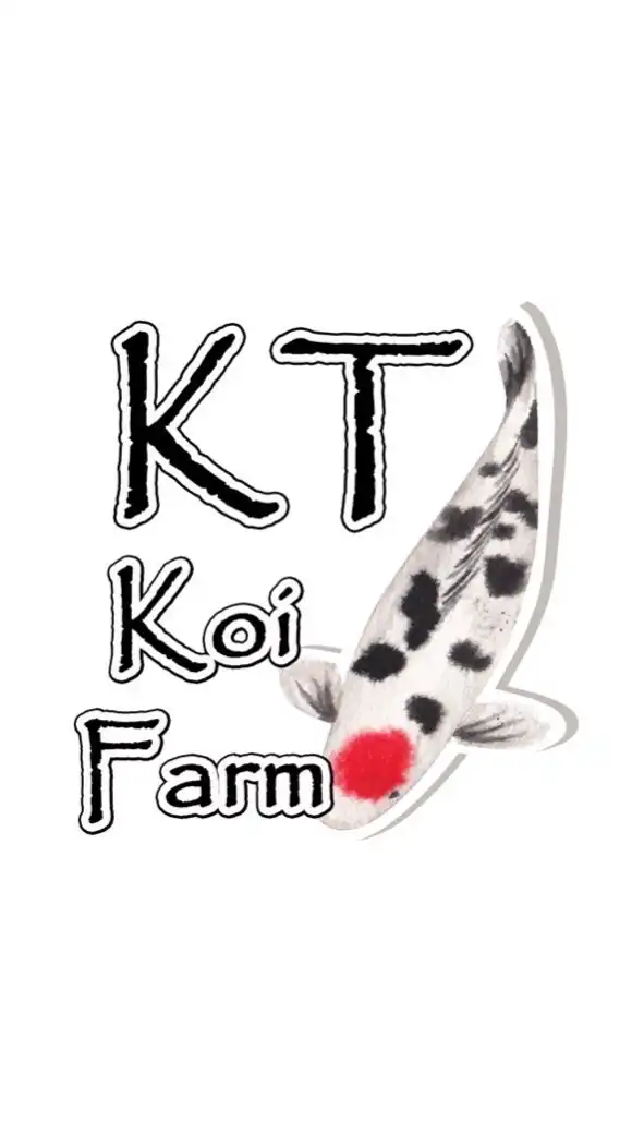 🐋KT KOI FARM