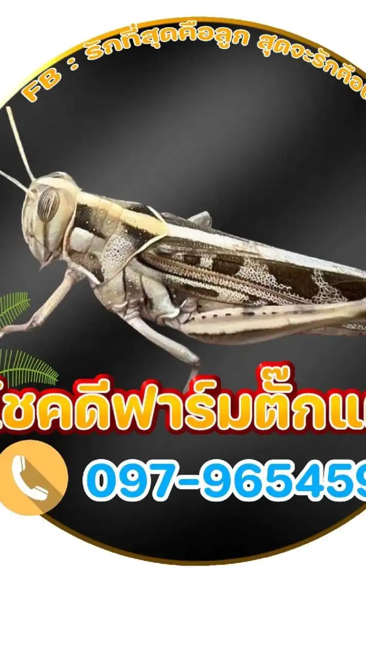โชคดีฟาร์ม