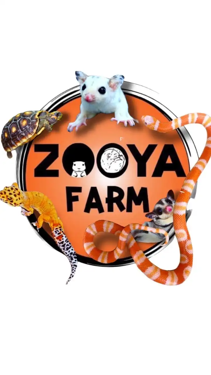 Zoo Ya Farm