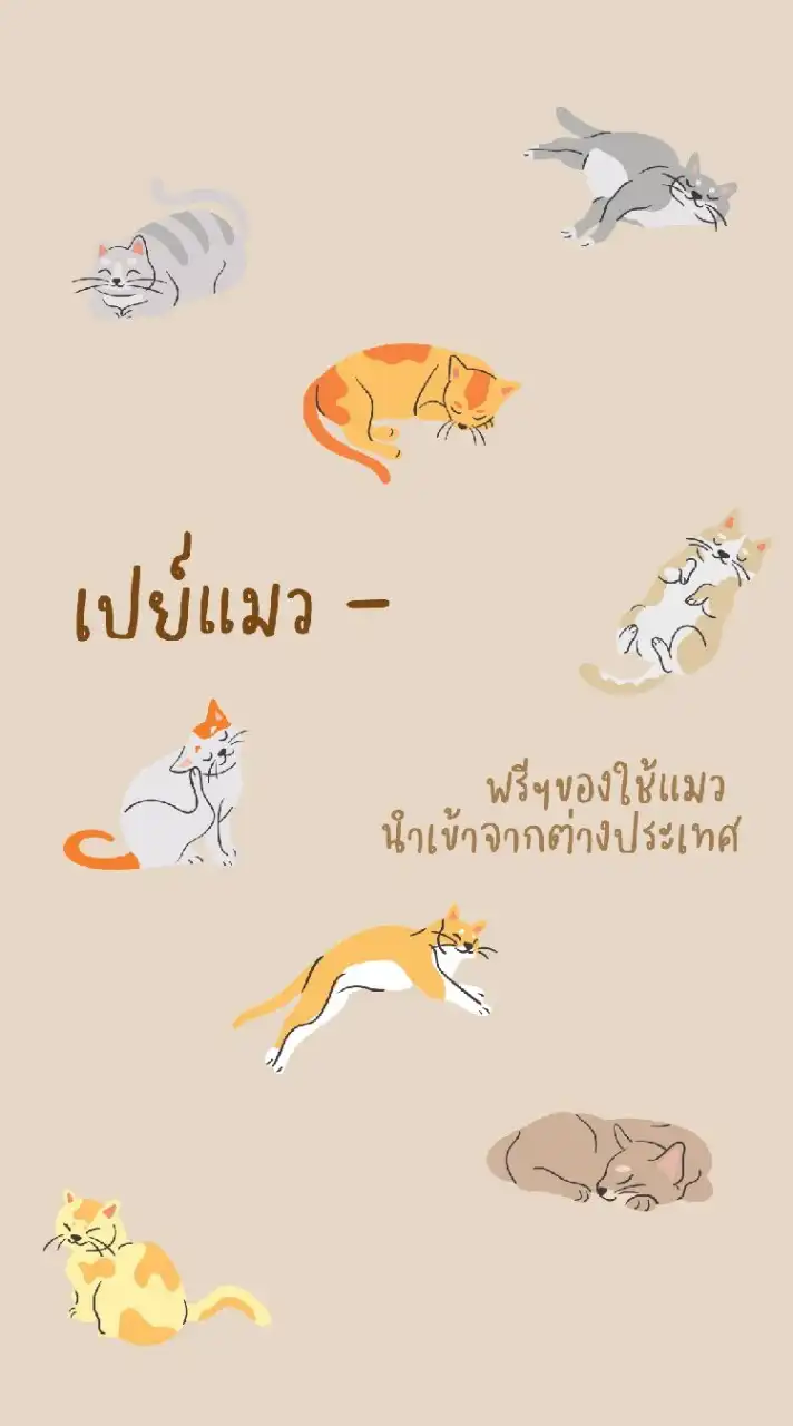 เปย์แมว​ นำเข้า​ของใช้แมวจากต่างประเทศ