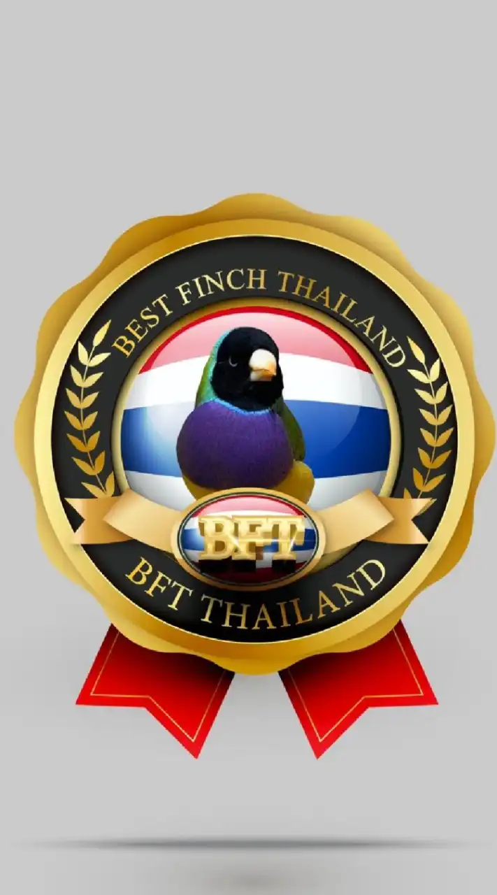 BEST FINCH THAILAND