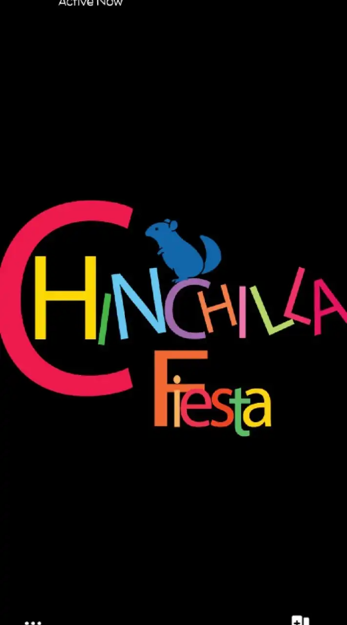 Chinchilla Fiesta